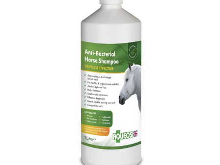 Aqueos Anti-Bacterial Horse Shampoo Online