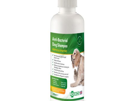 Aqueos Anti-Bacterial Dog Shampoo Cheap