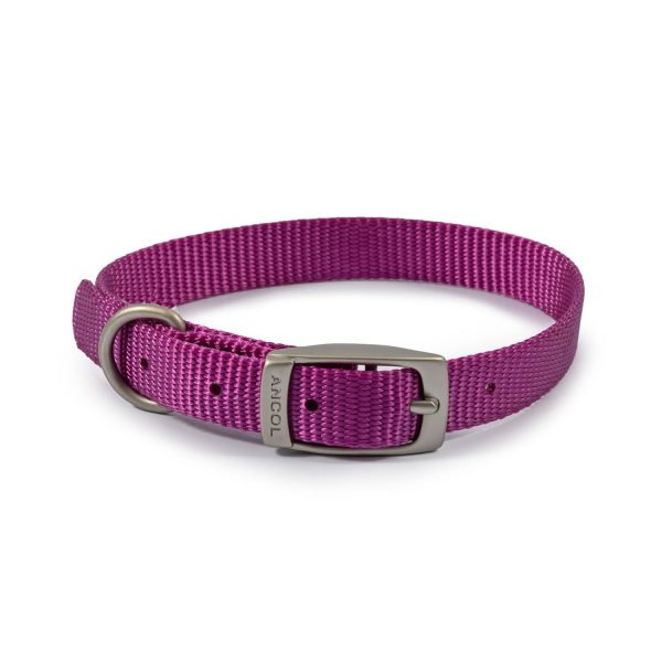 Ancol Viva Buckle Collar For Cheap