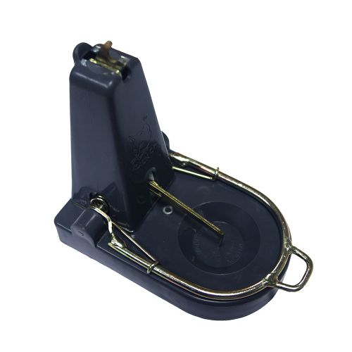 Black Cat Rat Trap Online