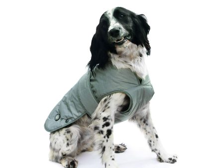 Ancol Ultimate Reflective Silver Dog Coat Discount