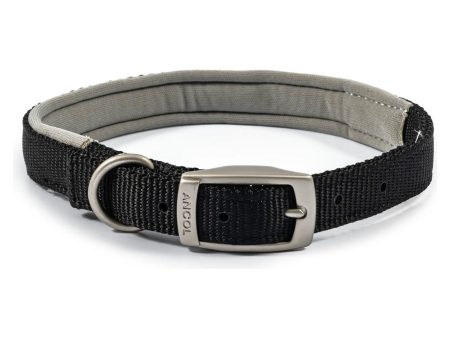 Ancol Viva Padded Buckle Collar Supply