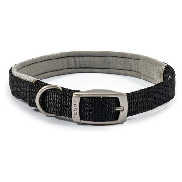 Ancol Viva Padded Buckle Collar Supply