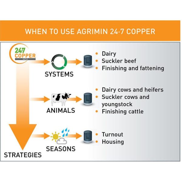 Agrimin 24-7 Copper Bolus Cattle - 24 Pack Fashion