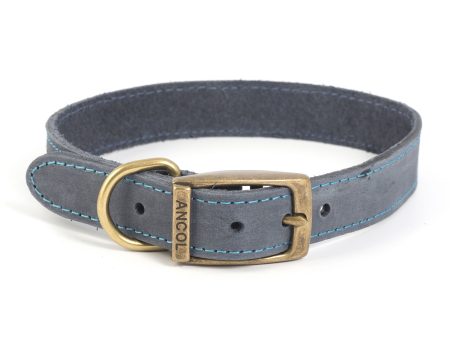 Ancol Timberwolf Leather Collar - Blue Hot on Sale