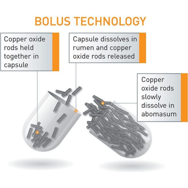 Agrimin 24-7 Copper Capsules Sheep For Sale